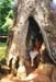 phone-tree